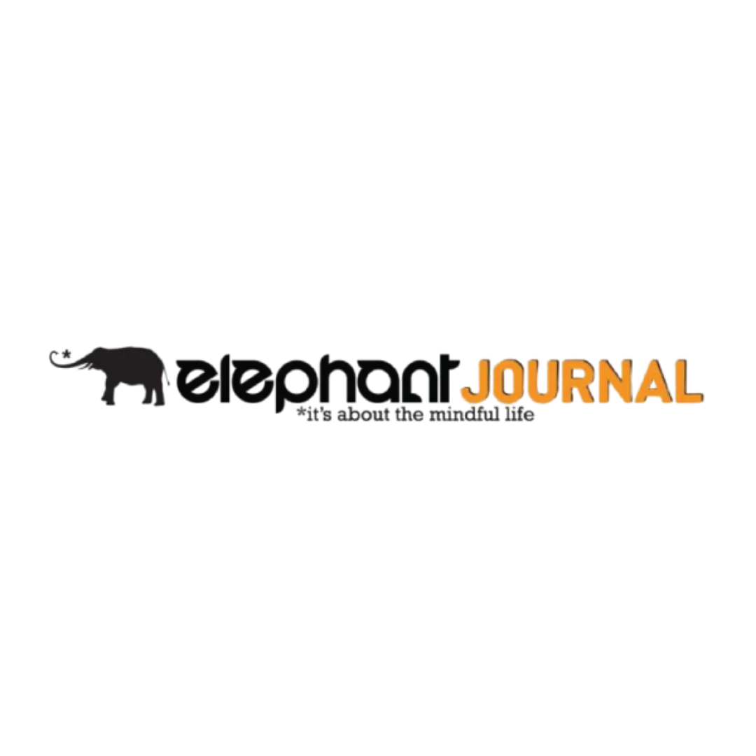 Media Outlet 4